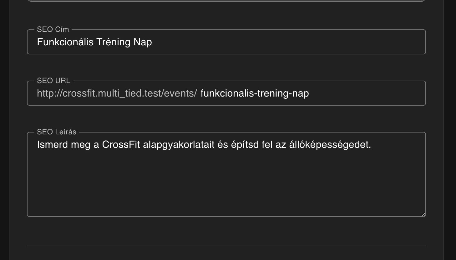 Online megjelenés és SEO
